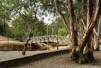 Ponte no Parque da Fonte Férrea